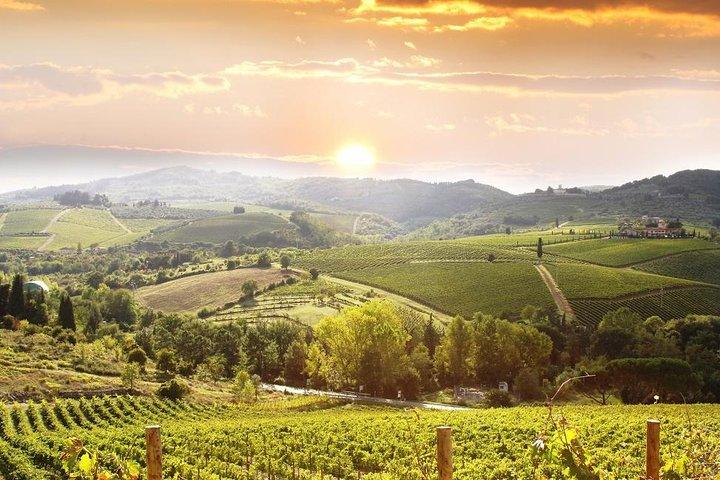 Private Chianti wijn tour vertrekt vanuit Florence
