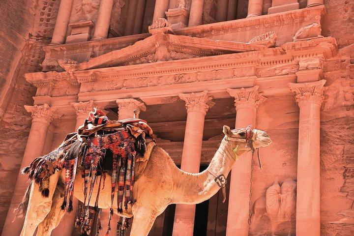 Petra Shore Excursie vanuit de haven van Aqaba