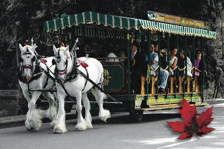 Tour a cavallo di Stanley Park a Vancouver