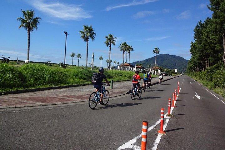 Visite guidée en vélo hybride dans la ville de Shizuoka (Remarque : pas de vélos électriques)