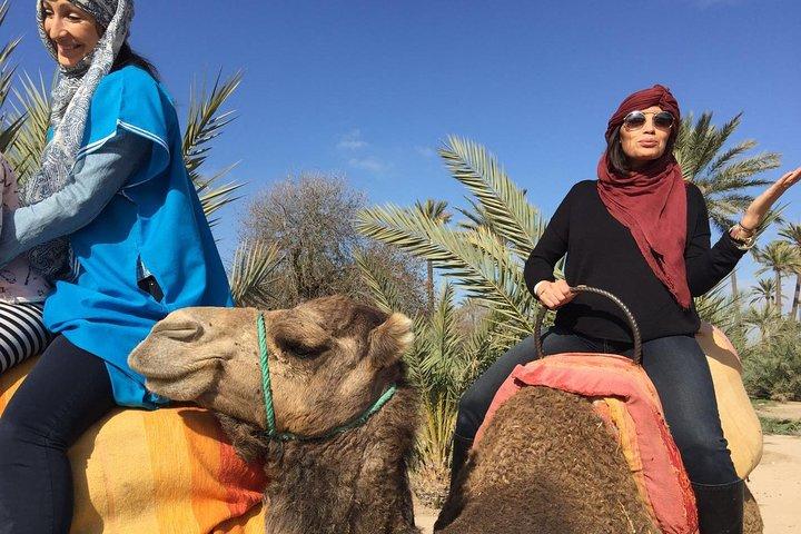 Camel Ride Tour nel Palmeto di Marrakech