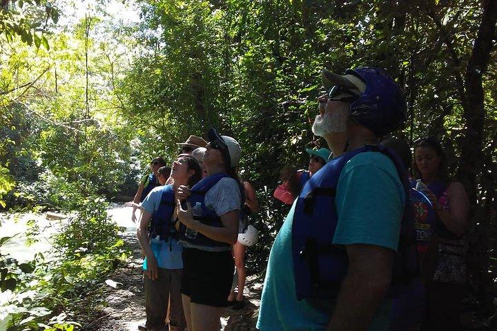 Rainforest Trek to Natural Pool - Taino Bay & Amber Cove ports