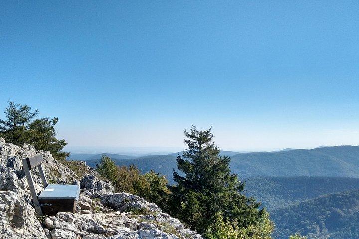 4-stündige private Alpenwanderung 'Matterhorn der Voralpen'