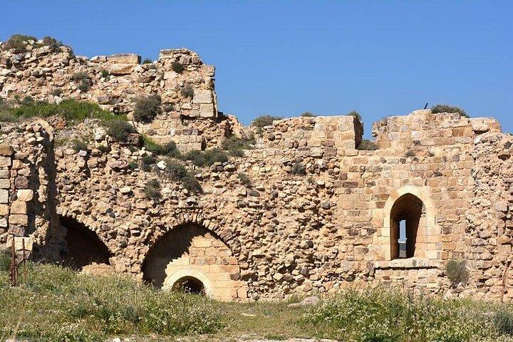 アンマンからのオプションのイスラム寺院を備えたプライベートカラック訪問キングスハイウェイツアー