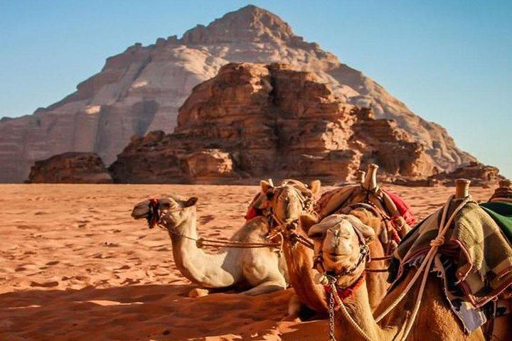 Excursión Privada Medio Dia desde el Puerto de Aqaba a Wadi Rum, Lawrence de Arabia