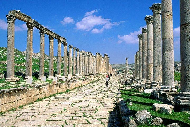 Tour privato, tour della città di Jerash e Amman