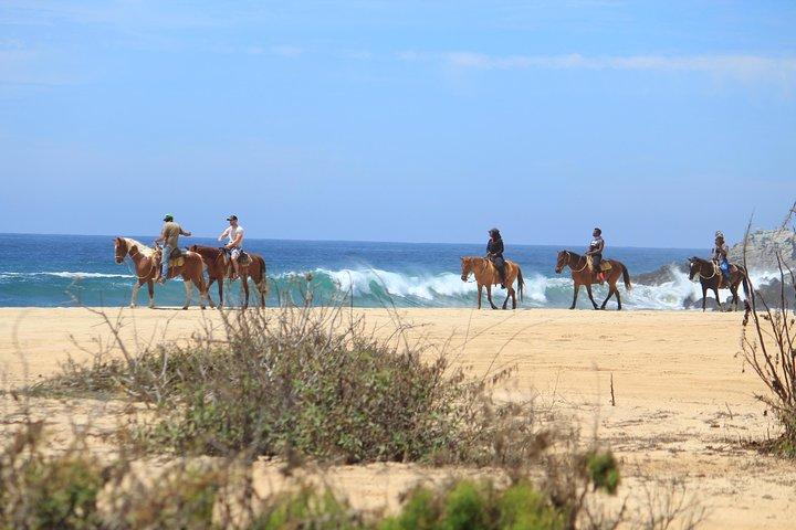 Tour combinato di Los Cabos ATV e Pacific Horseback Riding