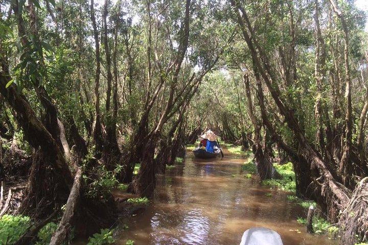 Excursão privada ao Delta do Mekong 1 dia