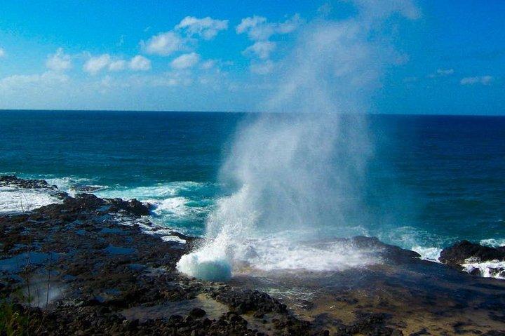 カウアイ島：ワイメアキャニオン、ワイルア川ボート、シダ洞窟ツアー