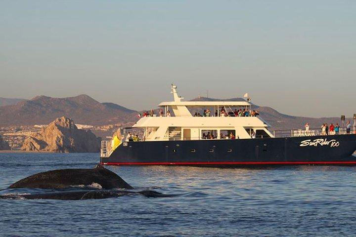Sunset Dinner Cruise i Los Cabos