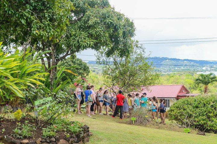 Essence of St Lucia Heritage Experience