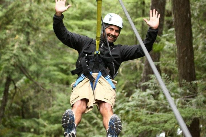 Rainforest Canopy Adventure från Vieux Fort eller North Island, St Lucia