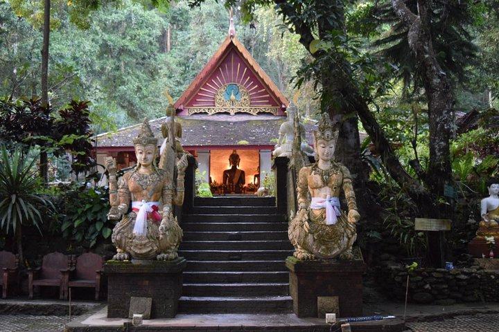 Halv dag Doi Suthep Temple og Palad Temple (Privat tur)