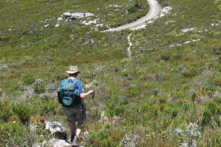 Table Mountain Hike from Cape Town