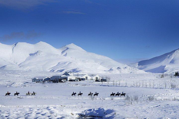 レイキャビクからのお迎えを含むアイスランド乗馬ツアー