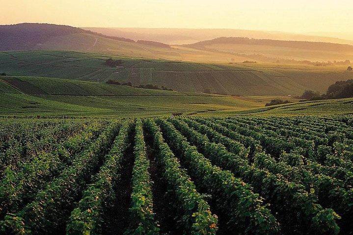 Privat helgedagstur i Champagne-regionen