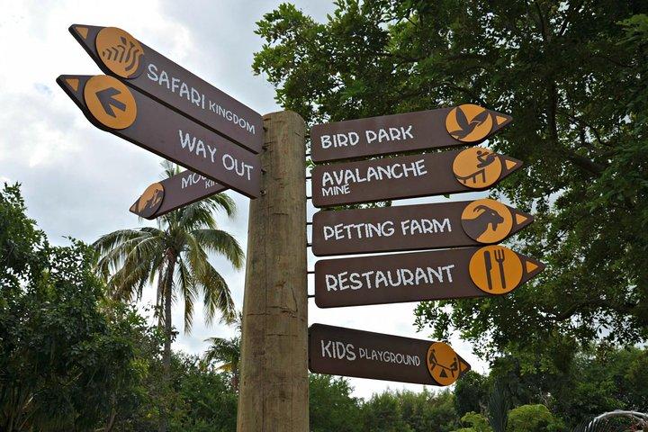 Fulldags simning med delfiner och Casela Nature Park Tour i Mauritius
