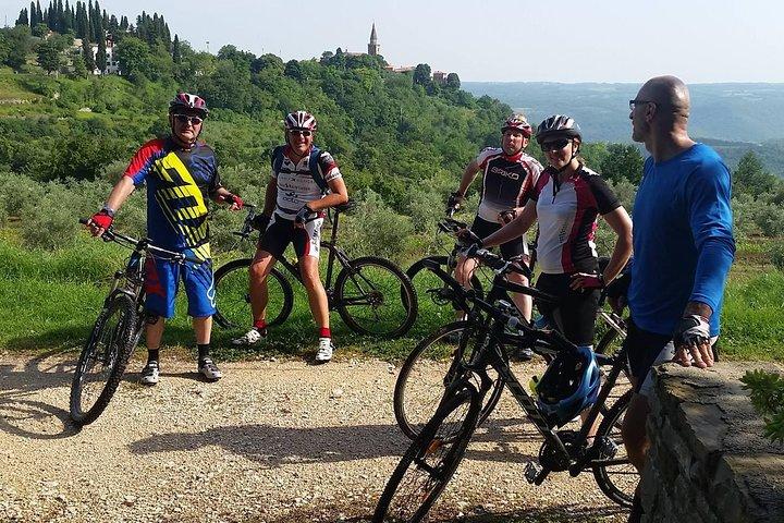 Location de vélos à la journée à Koper