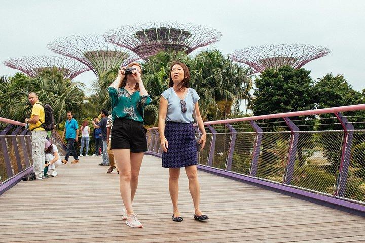 Singapore PRIVATE TOUR: Highlights & Hidden Gems by CAR or Foot
