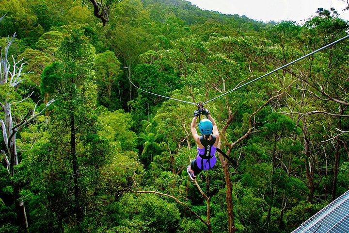 Excursion en tyrolienne de Gold Coast Canyon Flyer