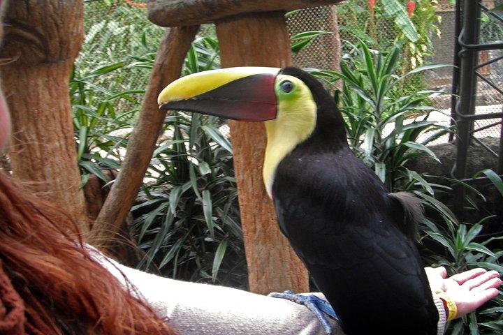 Tagesausflug zum Wildlife Refuge La Paz Waterfall Gardens ab San Jose