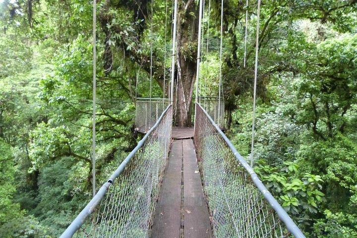 Day Trip from San Jose to Arenal Hanging Bridges & Baldi Hot Springs Resort