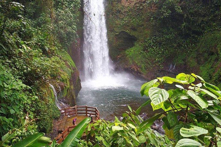 La Paz Waterfall Gardens and Wildlife Refuge Tour fra San Jose
