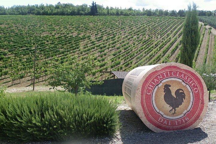 Weintour durch die Region Chianti
