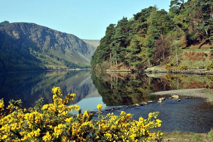 Tours en grupos pequeños de Dublín a Powerscourt, Wicklow y Glendalough