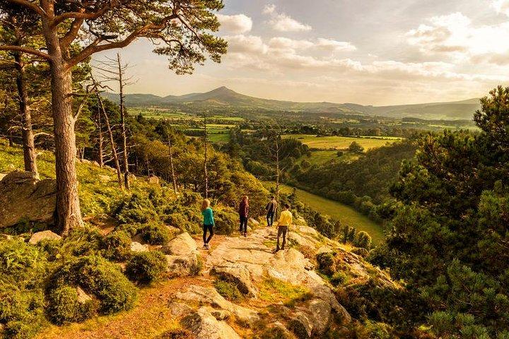 Dublin à Wicklow, Glendalough Visite en petit groupe avec promenade guidée