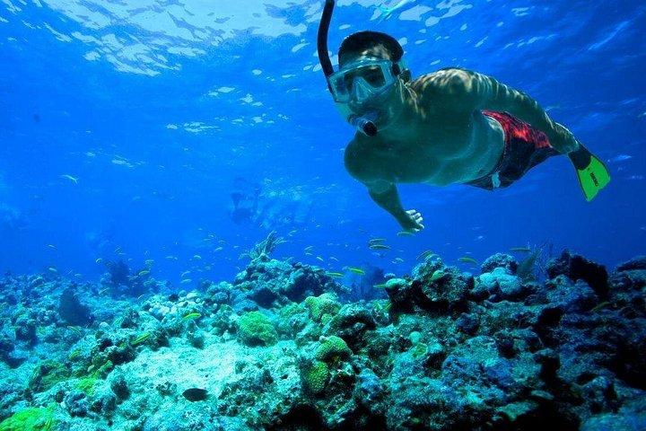 シュノーケリングツアーでわずか30分のビエケス島へ！