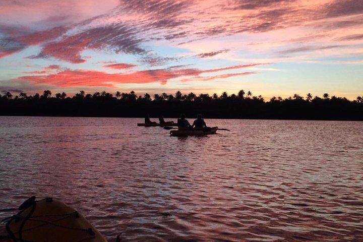 Bio Bay Kayak Tour em Fajardo