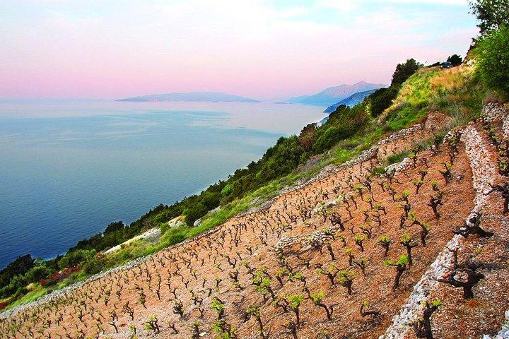 Klassische Tour mit Weinproben aus Dubrovnik