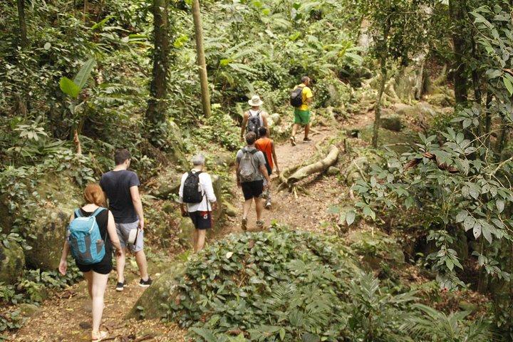Trekking nella foresta pluviale di Paraty e tour appartato della spiaggia di Sono