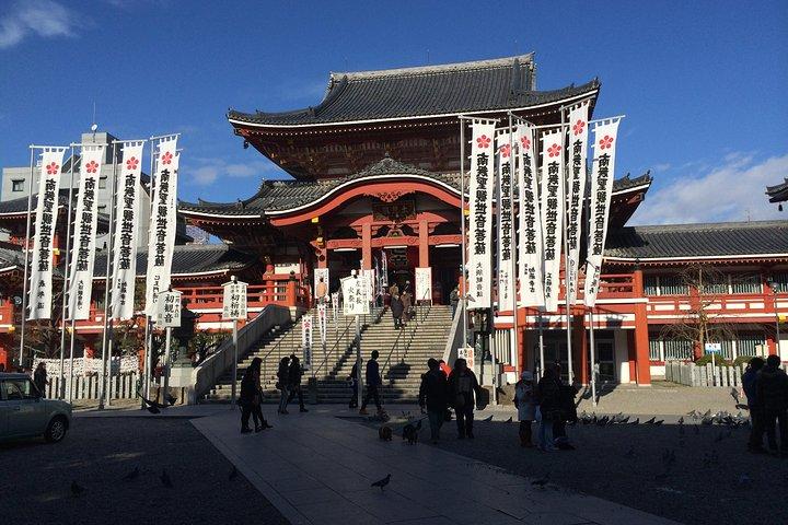 Excursion privée d'une journée complète à Nagoya