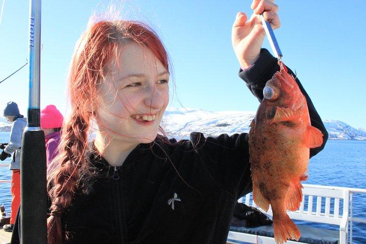 Tromsø: Cruzeiro e pesca no Fiorde Ártico