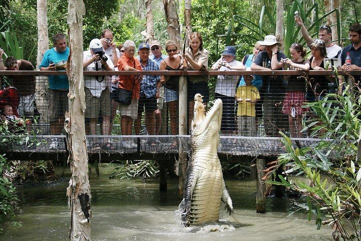 Halbtägige Tour durch Hartley’s Crocodile Adventures ab Cairns