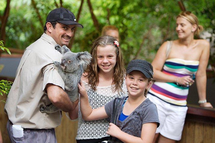 Halbtägige Tour durch Hartley’s Crocodile Adventures ab Cairns