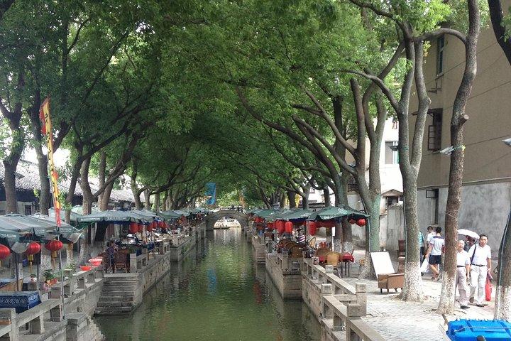 Excursión privada de un día: Tongli Water Town de Shanghai