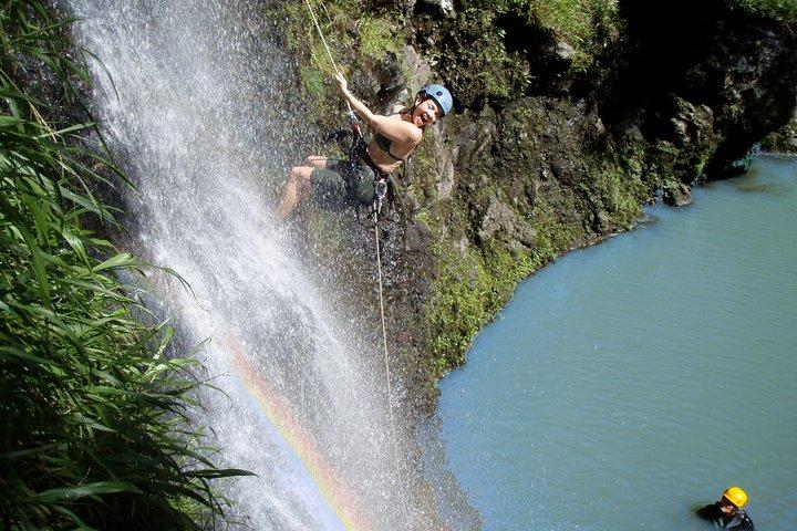 ラペル マウイ 滝と熱帯雨林の崖