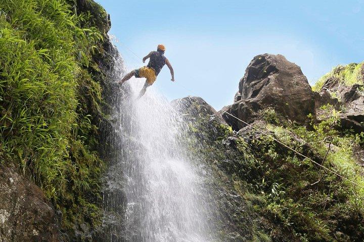 ラペル マウイ 滝と熱帯雨林の崖