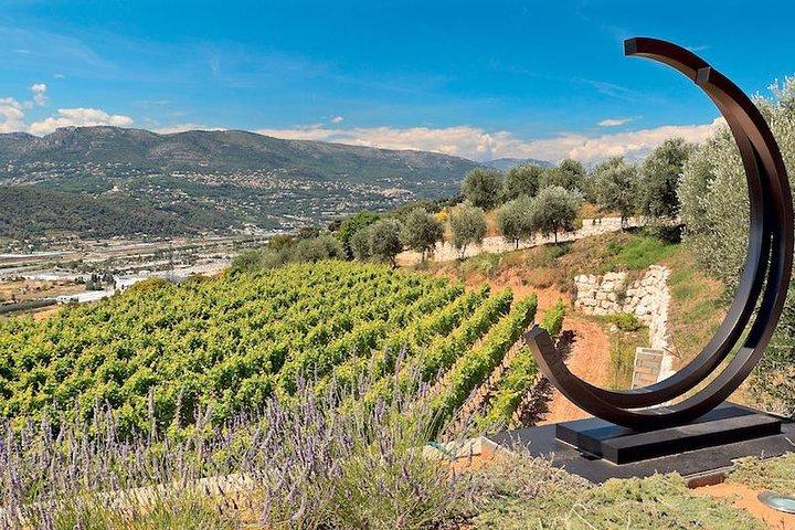 Tour di mezza giornata per piccoli gruppi con degustazione da Nizza