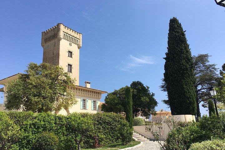 Tour di mezza giornata per piccoli gruppi con degustazione da Nizza