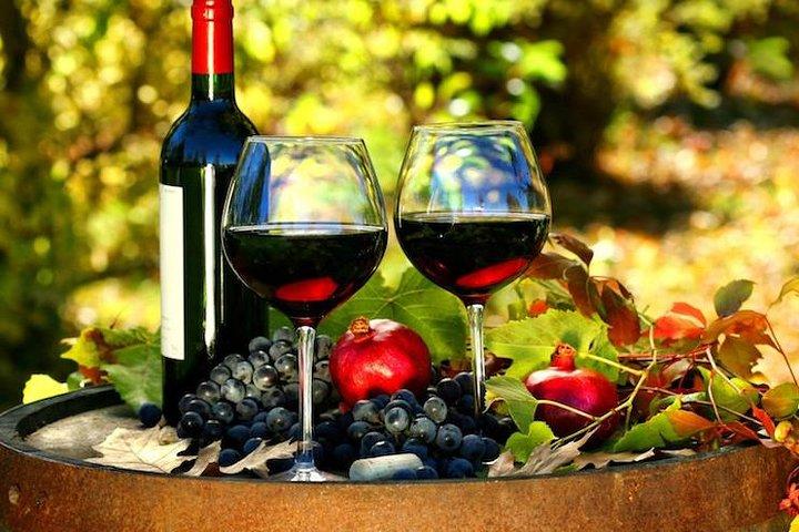 Capital da Riviera Francesa Nice e o tour do vinho