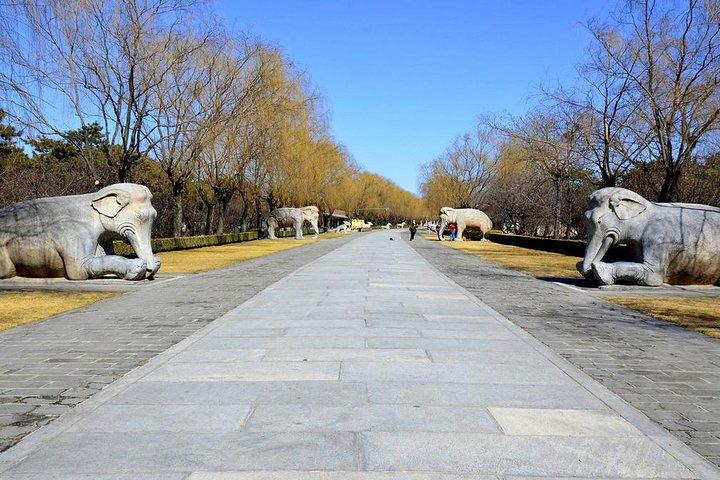 Tour di mezza giornata alle Tombe Ming Palazzo sotterraneo e percorso sacro da Pechino