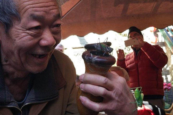 Excursão privada à cultura Hutong com aula de culinária com bolinho e jogo de luta de críquete