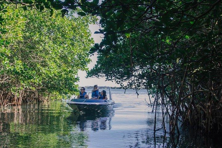 Cancun Mangrove Channel Adventure met vervoer