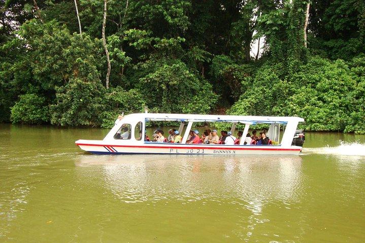 Tortuguero Canal Cruise and Prospect Plantation. Shore Excursion