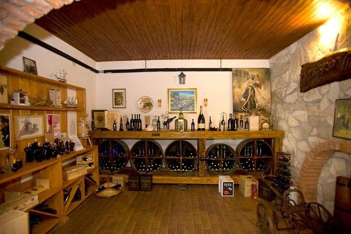 Peljesac Wine Private Day Trip vanuit Dubrovnik