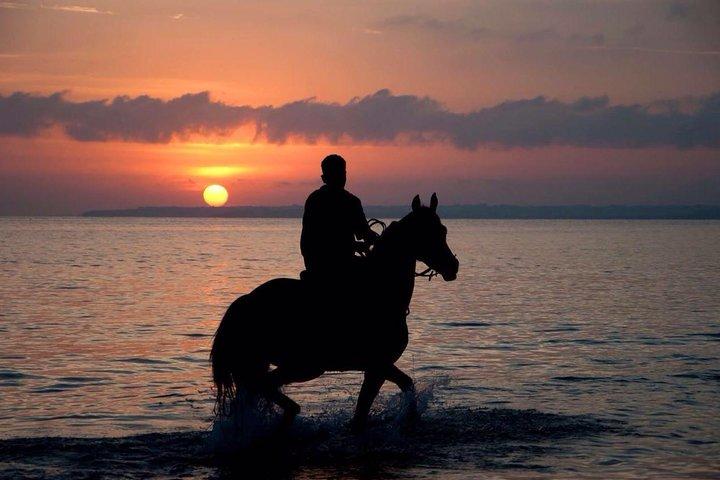 Sunset Beach Ridning